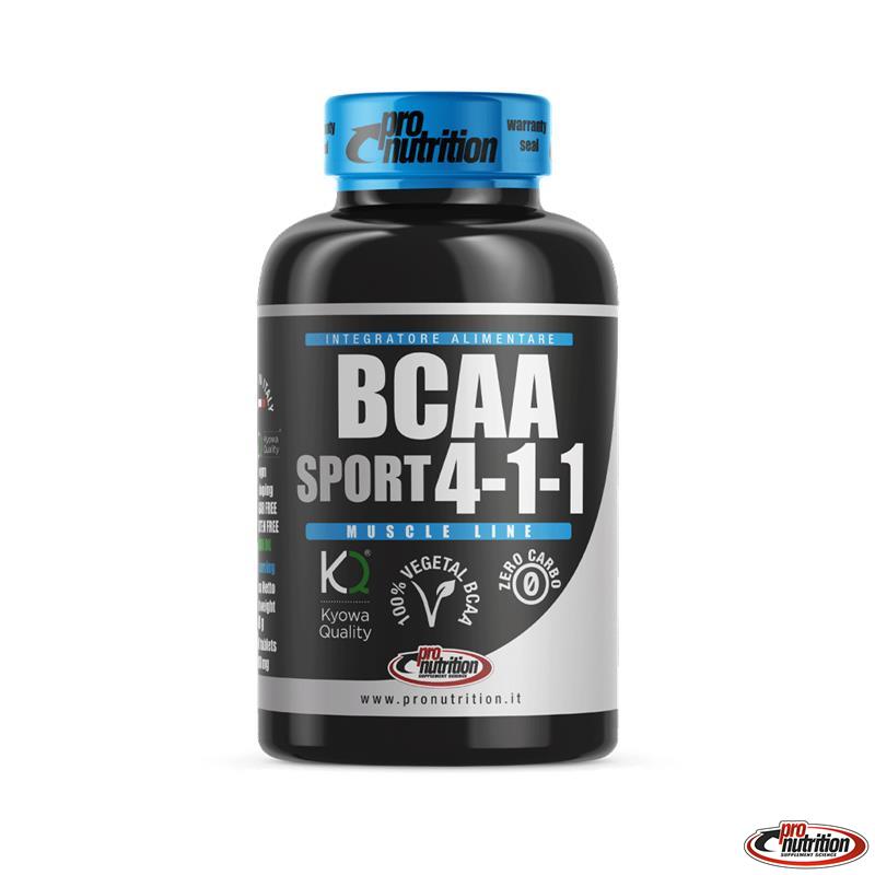 bcaa 411